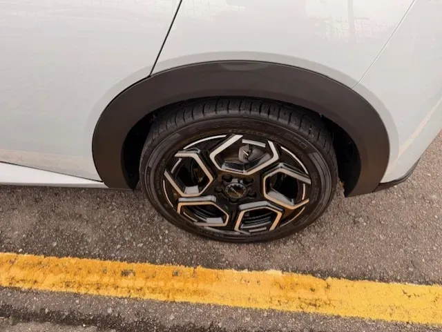 BYD Dolphin Plus - Imagem 8