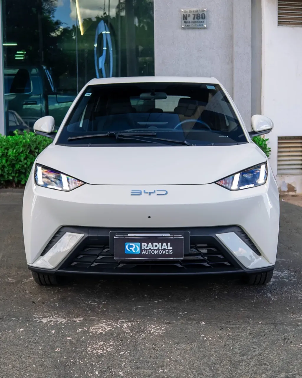 BYD Dolphin Mini - Imagem 5