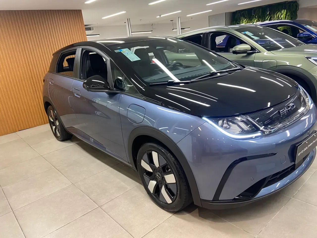 BYD Dolphin Plus - Imagem 4