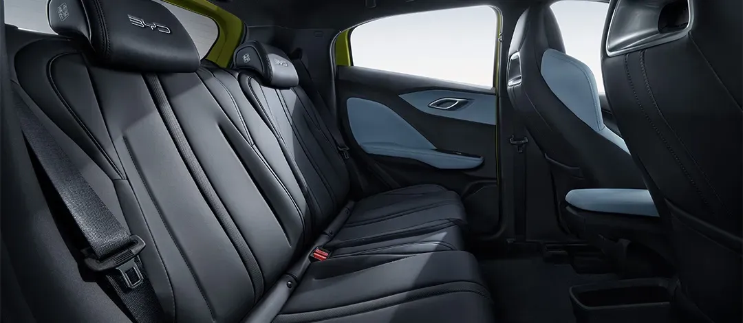 BYD Dolphin Mini - Imagem 19