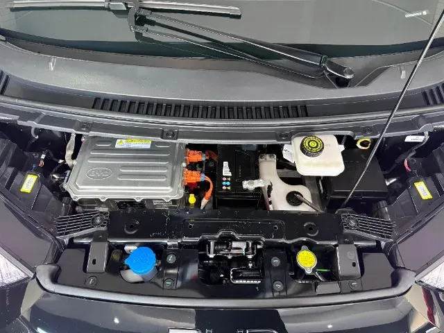 BYD Dolphin Mini - Imagem 18