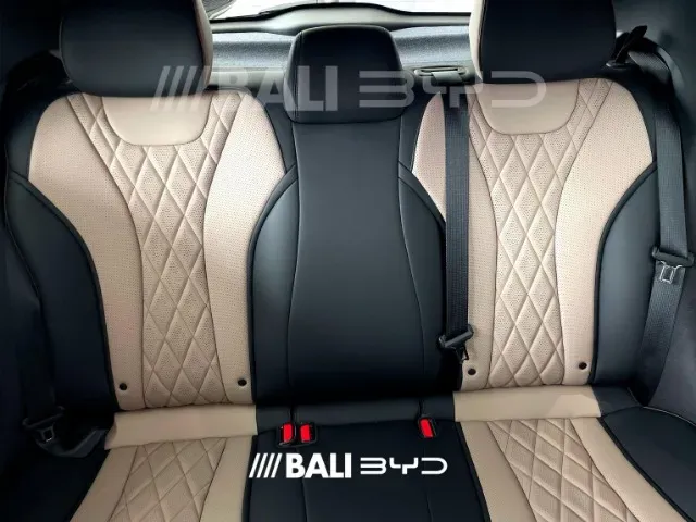 BYD Dolphin - Imagem 12