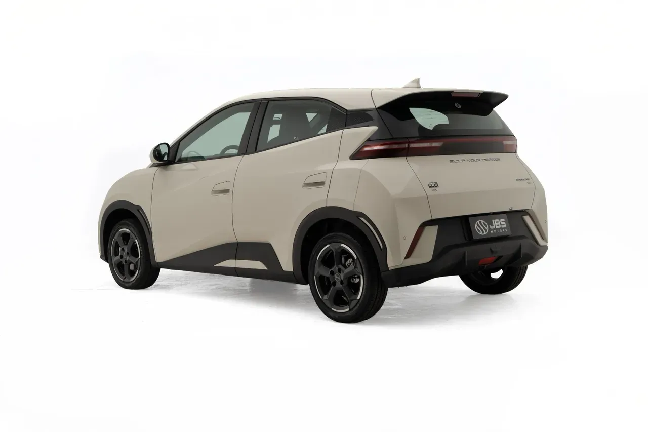 BYD Dolphin Mini - Imagem 8