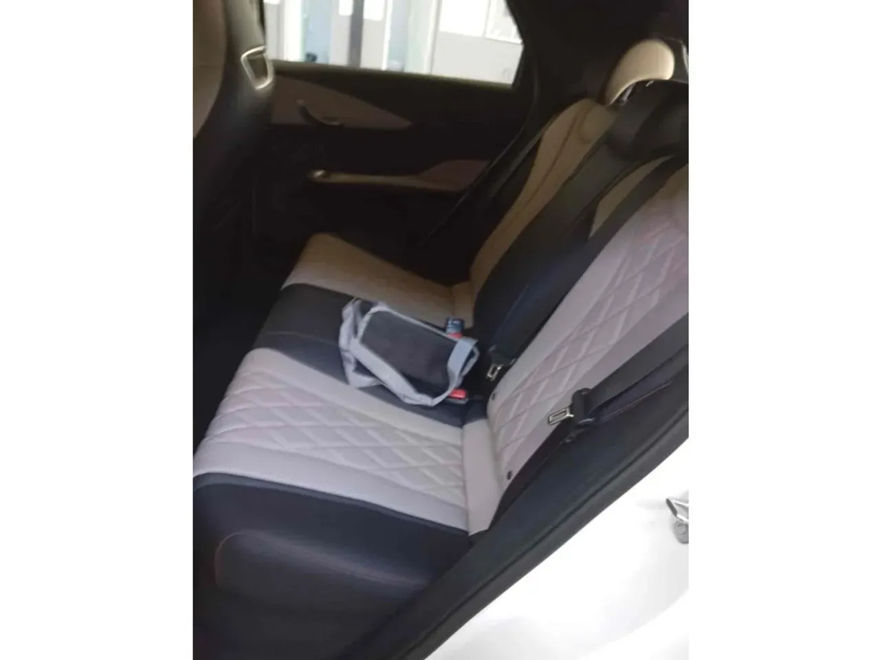 BYD Dolphin Plus - Imagem 9