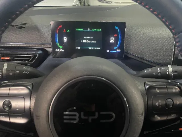 BYD Dolphin Mini - Imagem 14