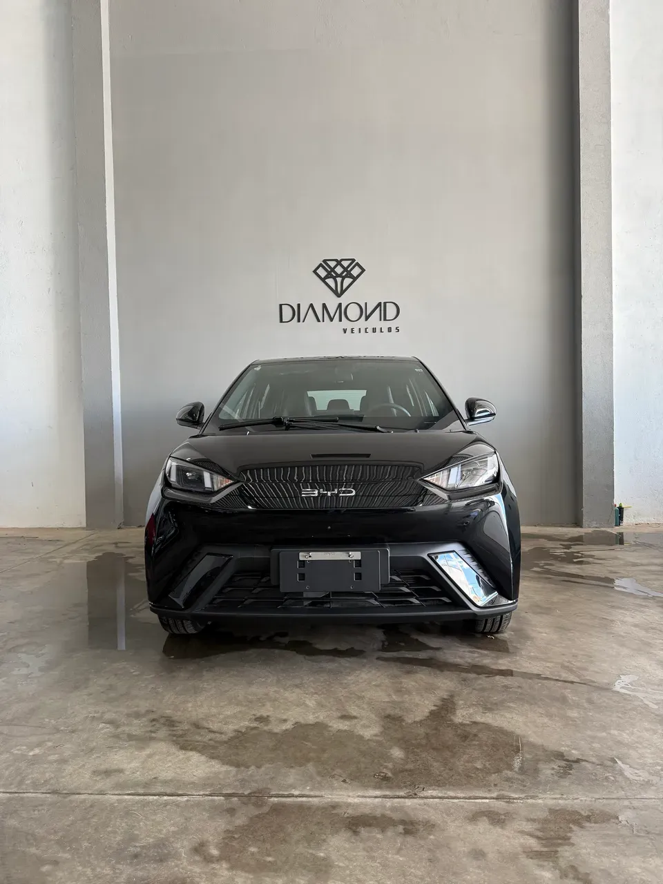 BYD Dolphin Mini - Imagem 2