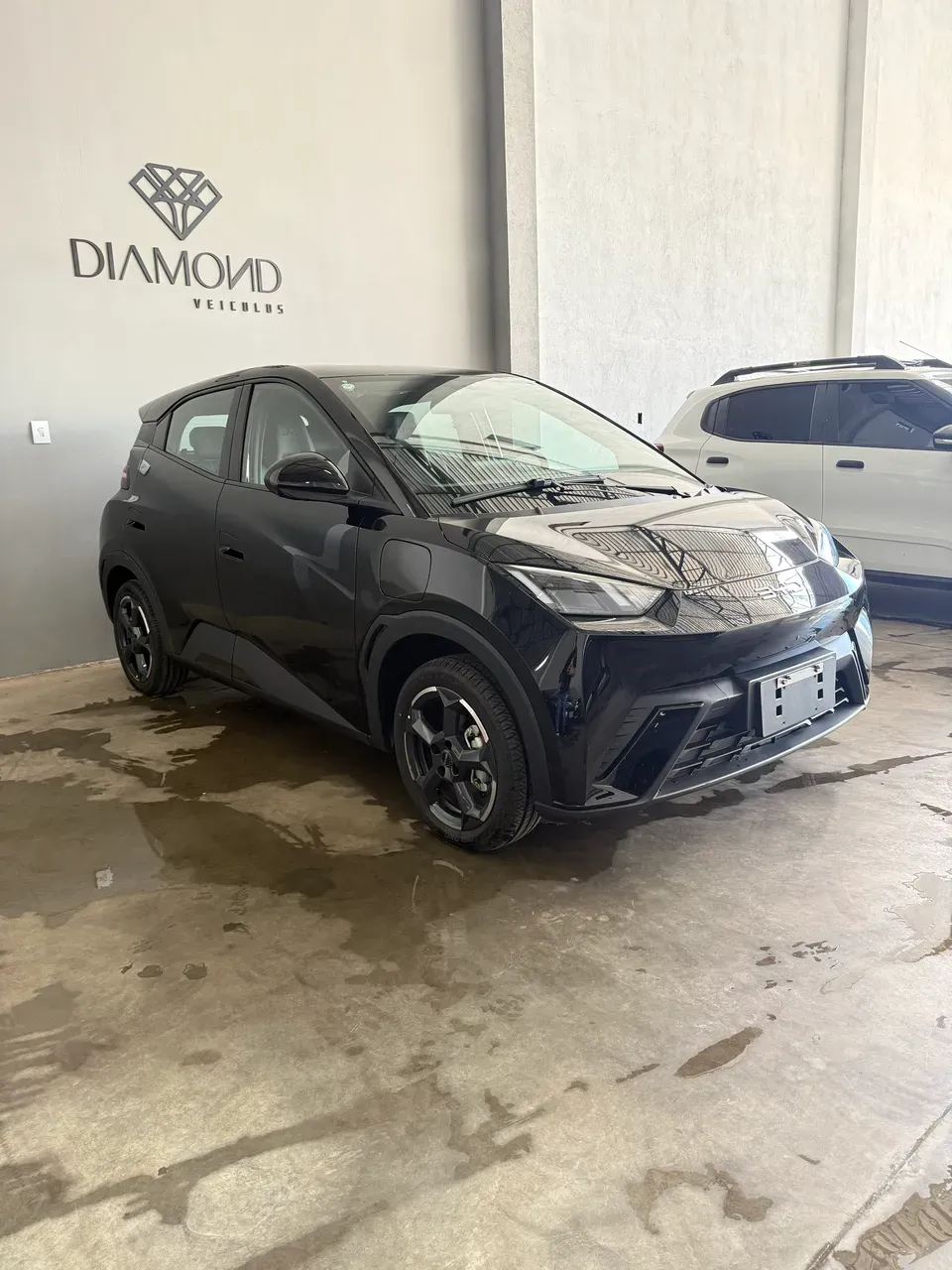 BYD Dolphin Mini - Imagem 9