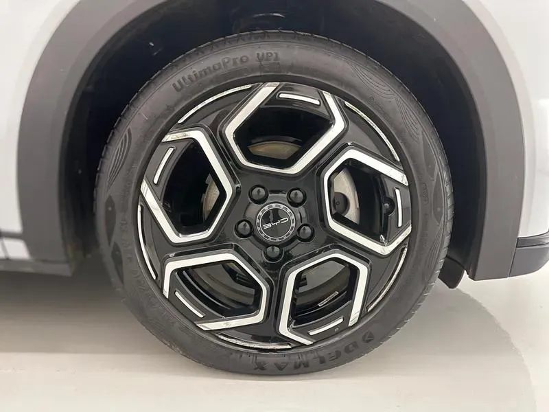 BYD Dolphin Plus - Imagem 9