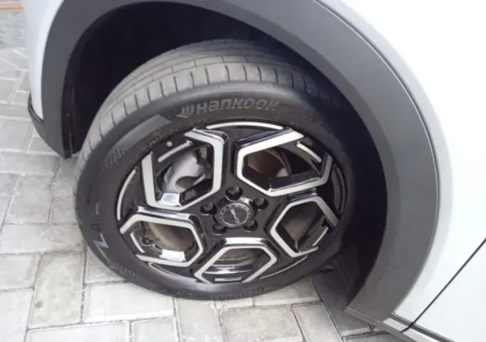 BYD Dolphin Plus - Imagem 13