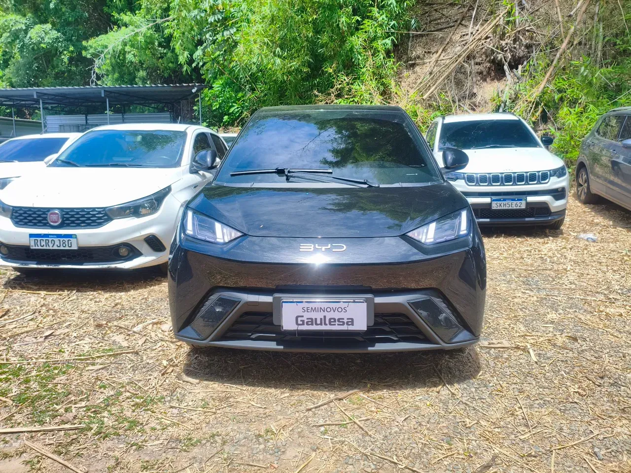 BYD Dolphin Mini - Imagem 2