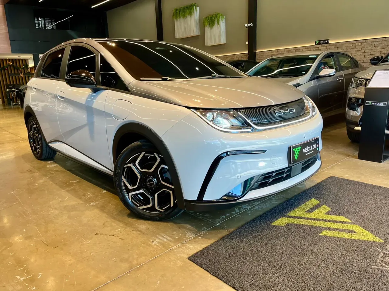 BYD Dolphin Plus - Imagem 3