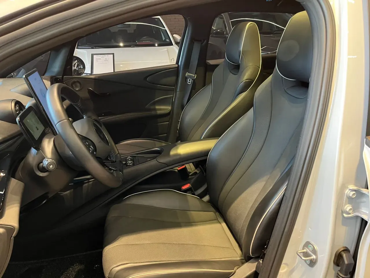 BYD Dolphin Plus - Imagem 14