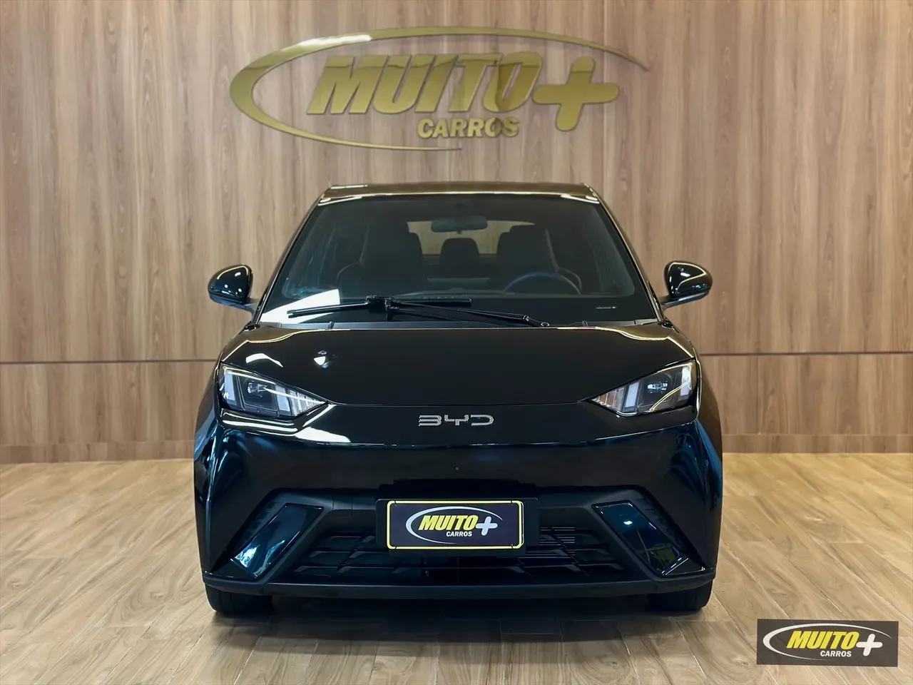 BYD Dolphin Mini - Imagem 2