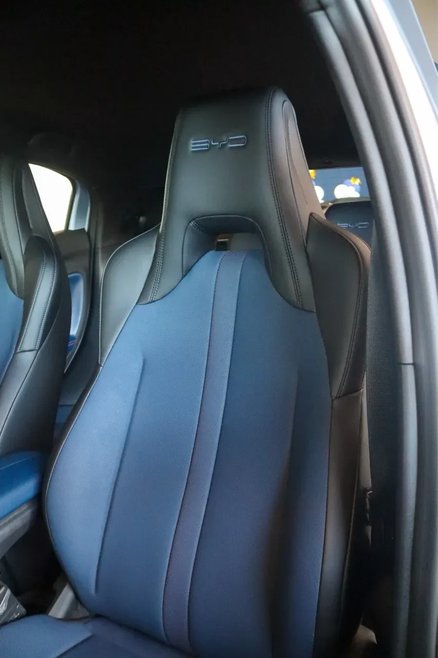 BYD Dolphin Mini - Imagem 10