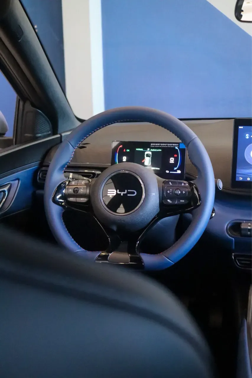 BYD Dolphin Mini - Imagem 12