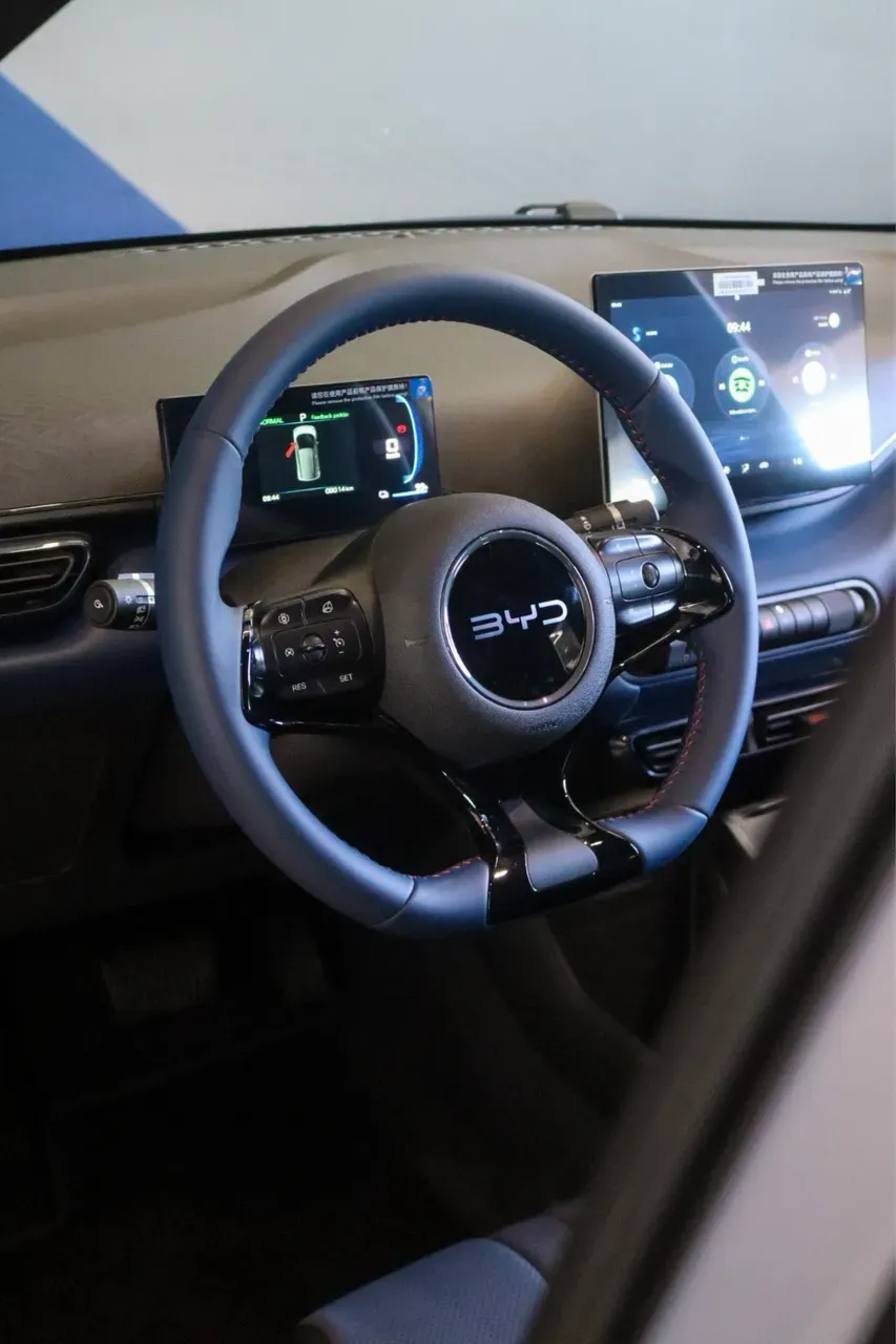 BYD Dolphin Mini - Imagem 16