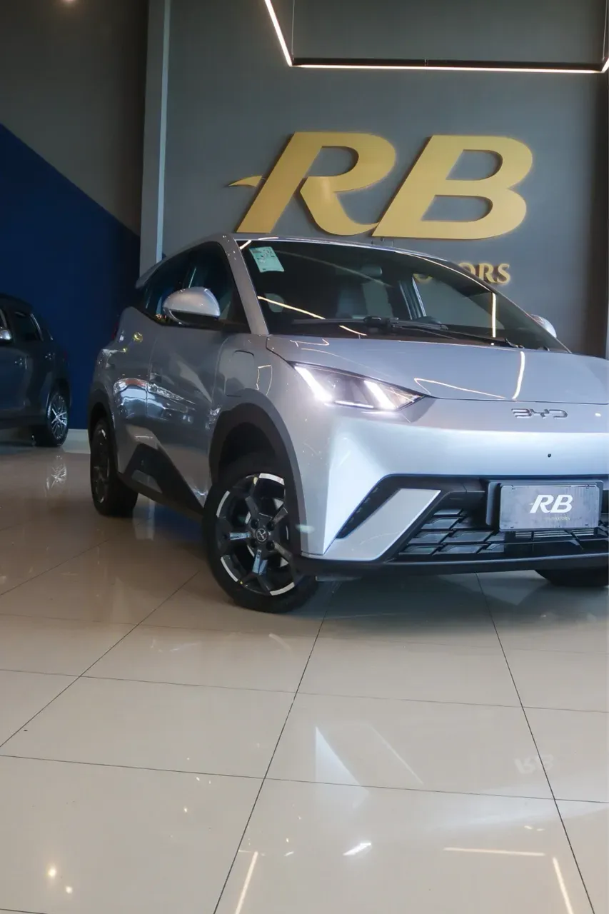 BYD Dolphin Mini - Imagem 18