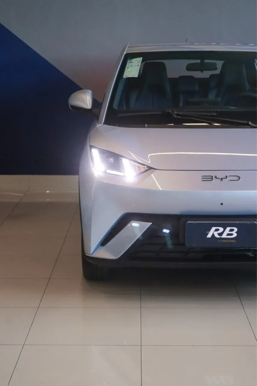 BYD Dolphin Mini - Imagem 19