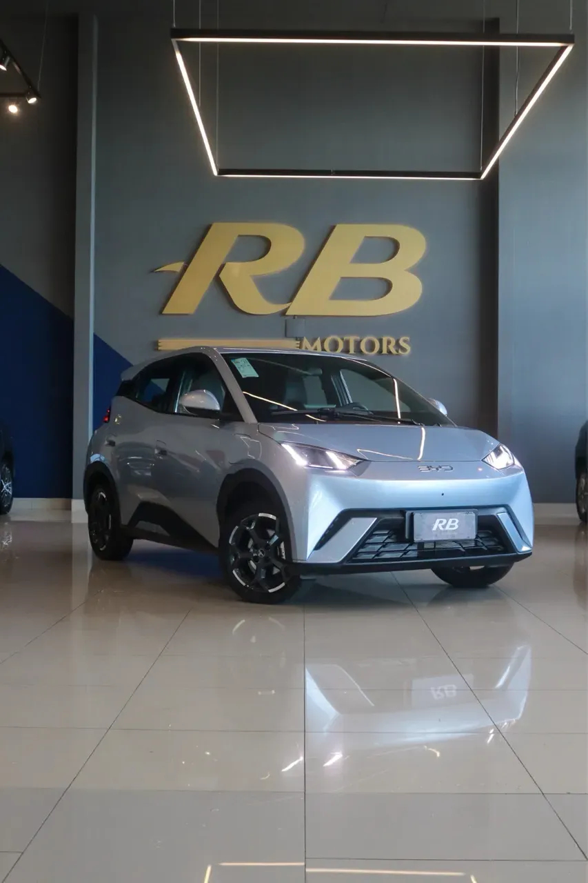 BYD Dolphin Mini - Imagem 20