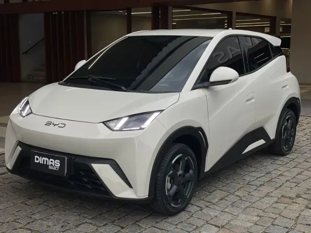 BYD Dolphin Mini - Imagem 9