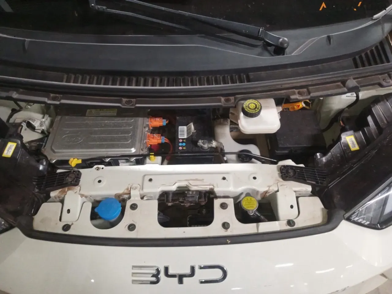 BYD Dolphin Mini - Imagem 4