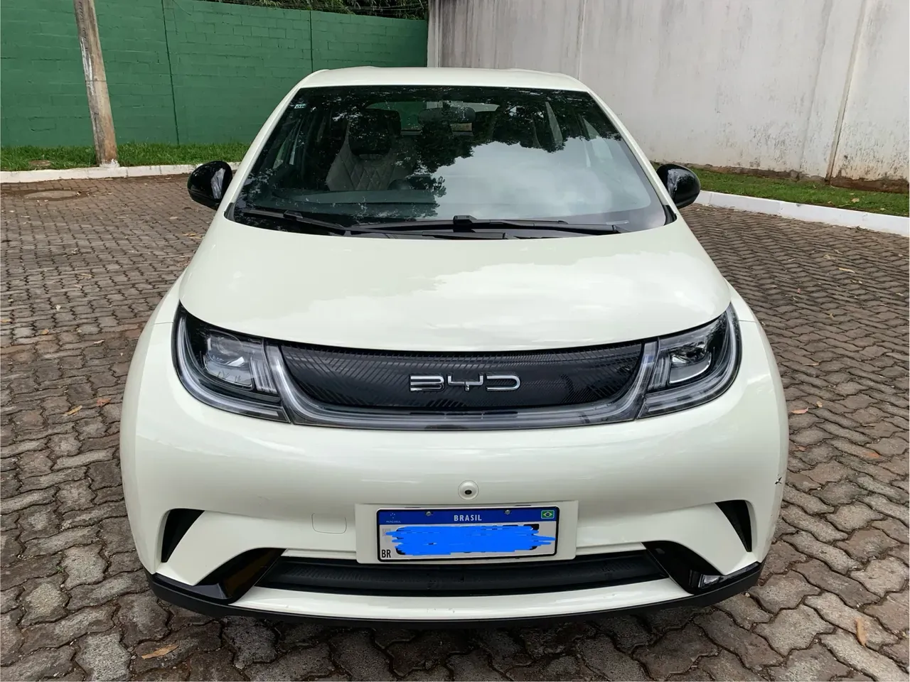 BYD Dolphin Plus - Imagem 2