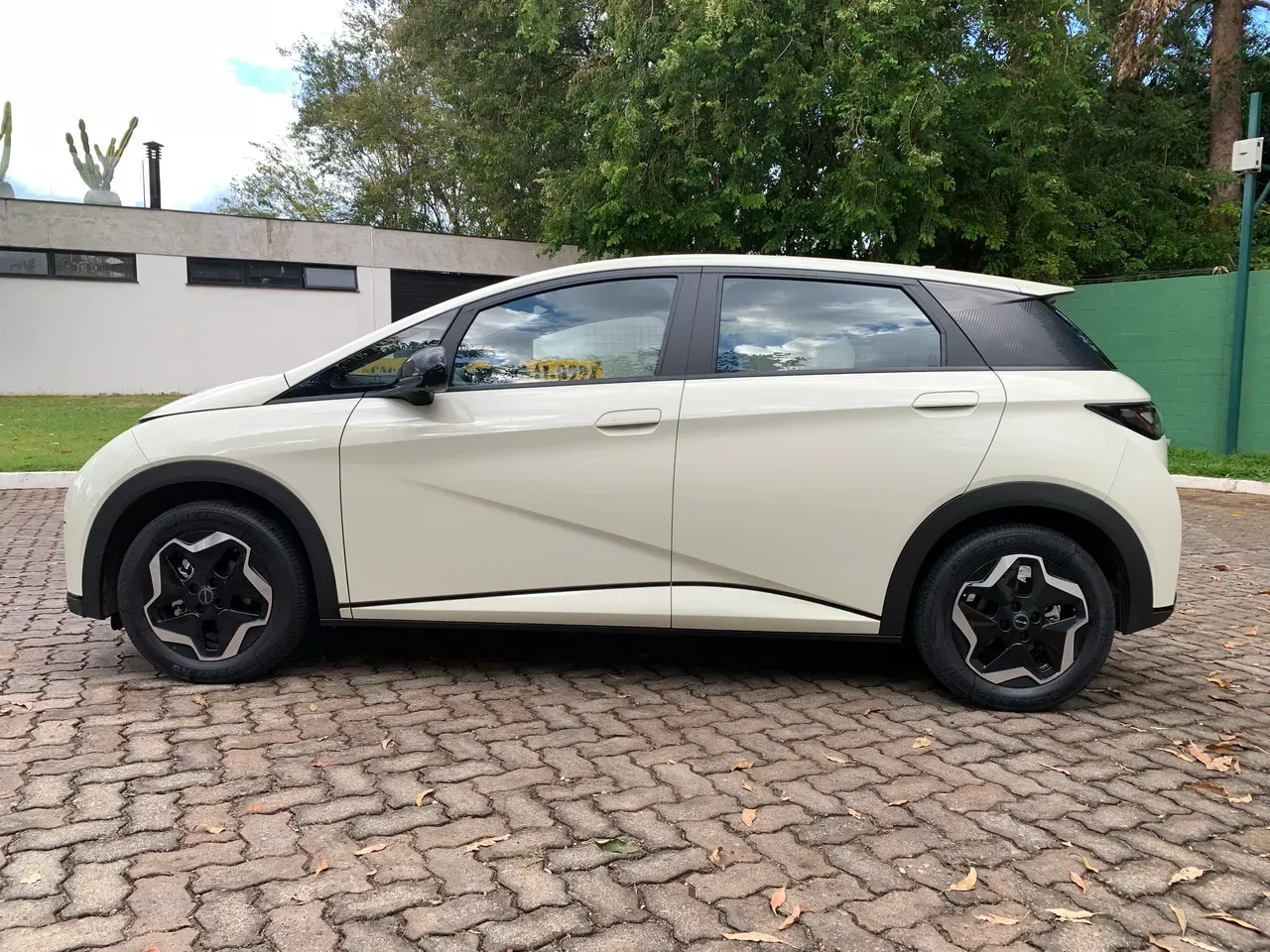 BYD Dolphin Plus - Imagem 4