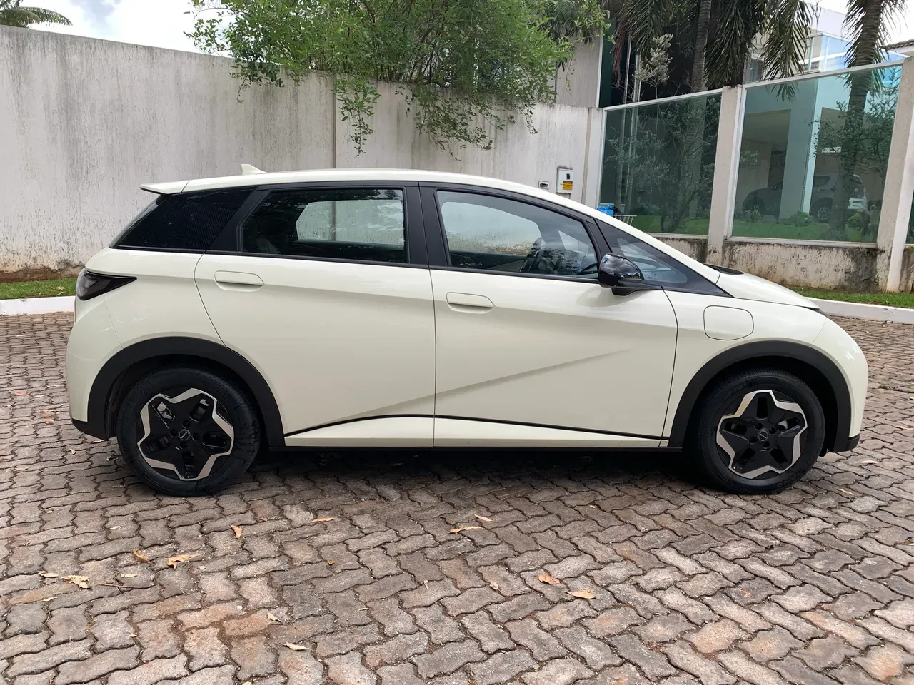 BYD Dolphin Plus - Imagem 5