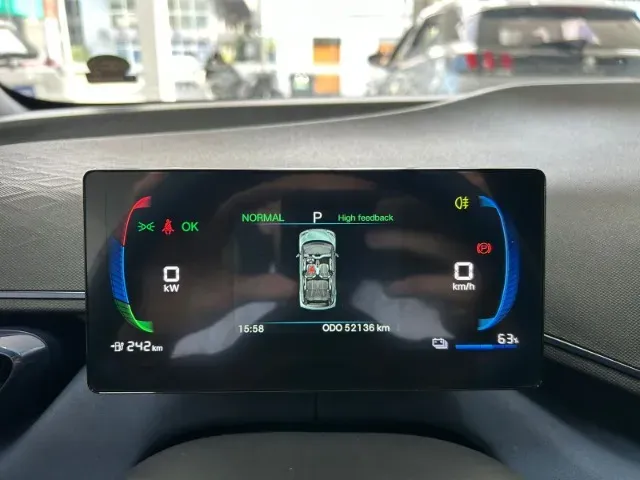 BYD Dolphin Mini - Imagem 19