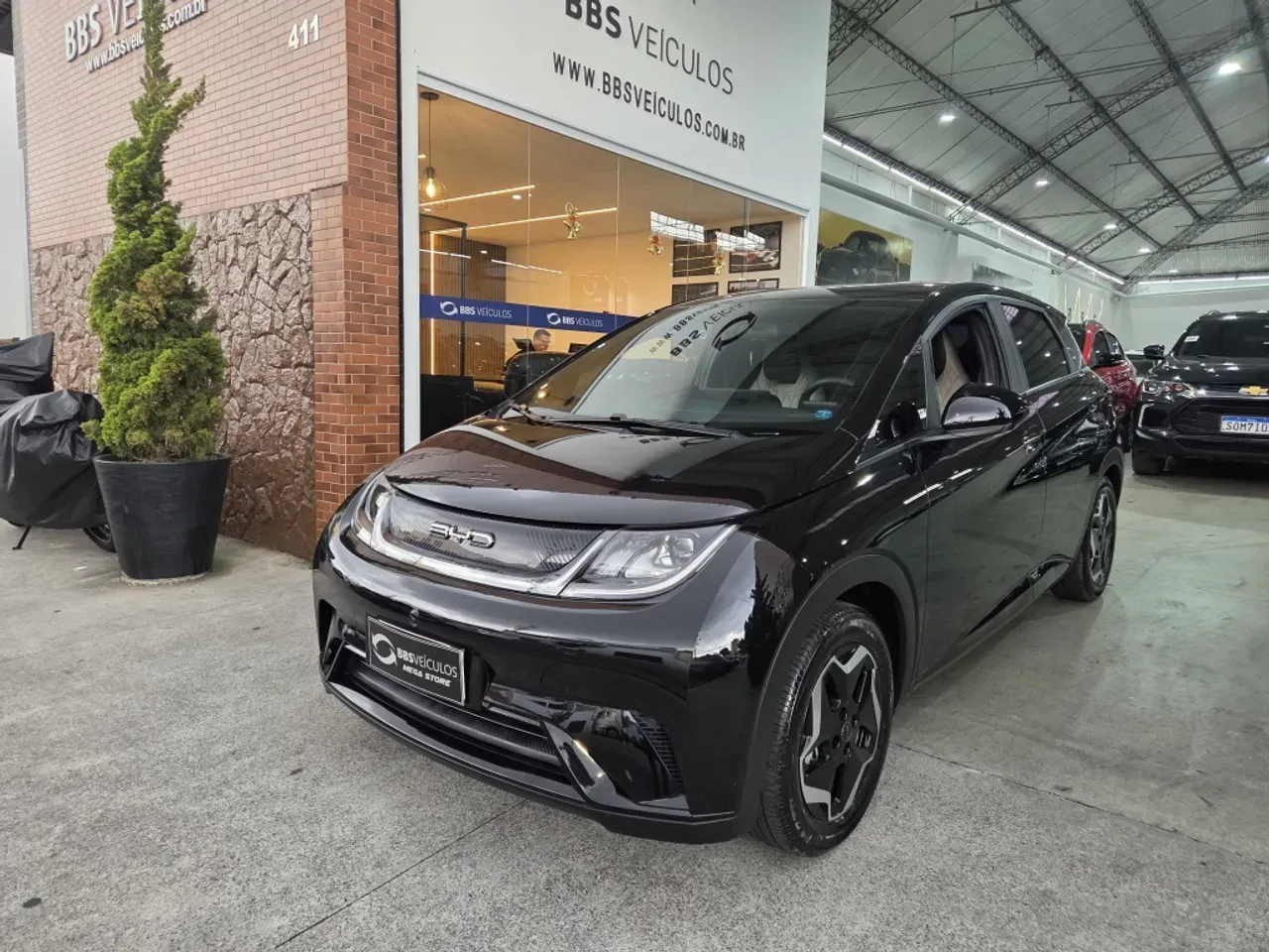 BYD Dolphin Plus - Imagem 4