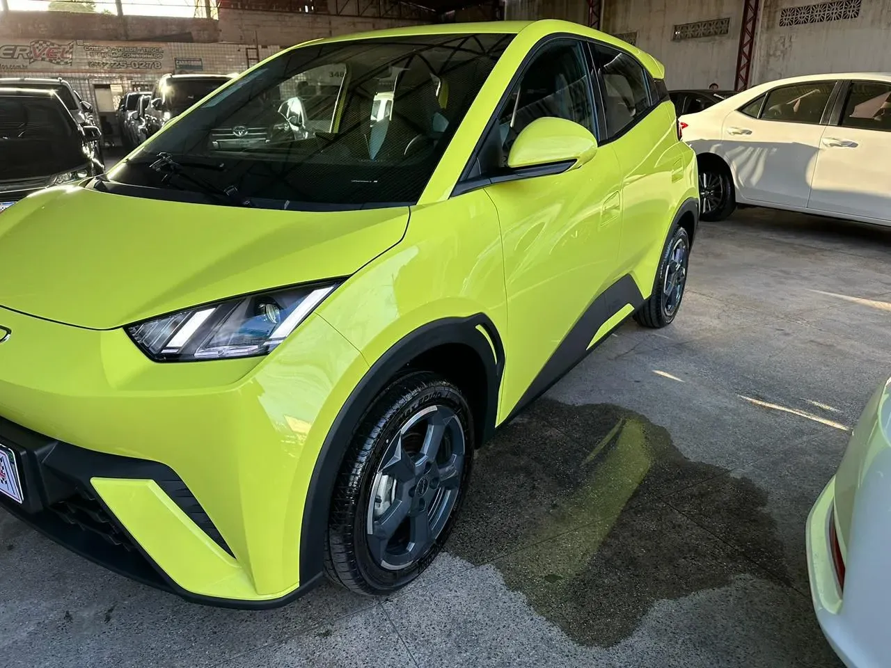 BYD Dolphin Mini - Imagem 2