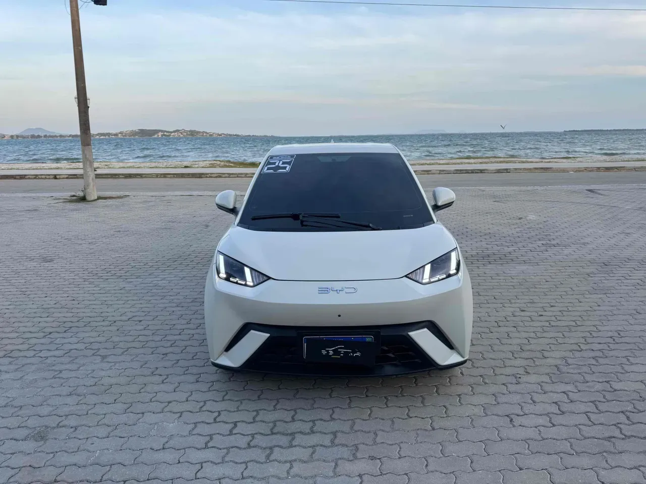 BYD Dolphin Mini - Imagem 2
