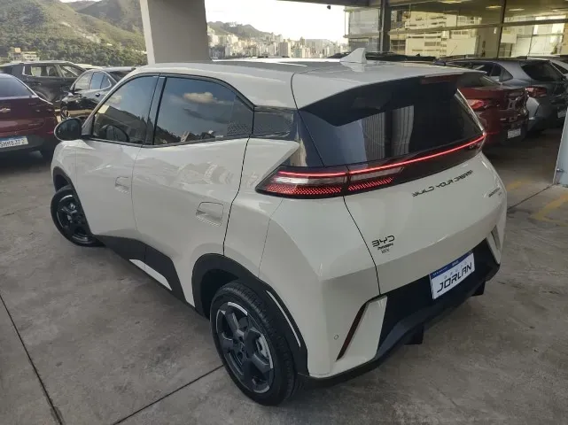 BYD Dolphin Mini - Imagem 6
