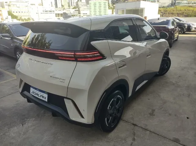 BYD Dolphin Mini - Imagem 12