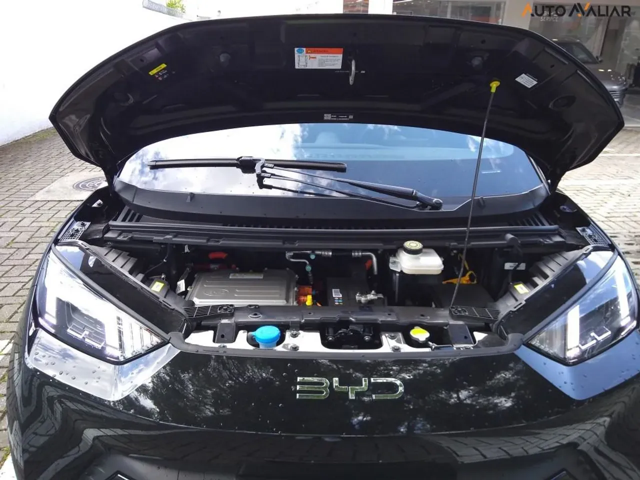 BYD Dolphin Mini - Imagem 6