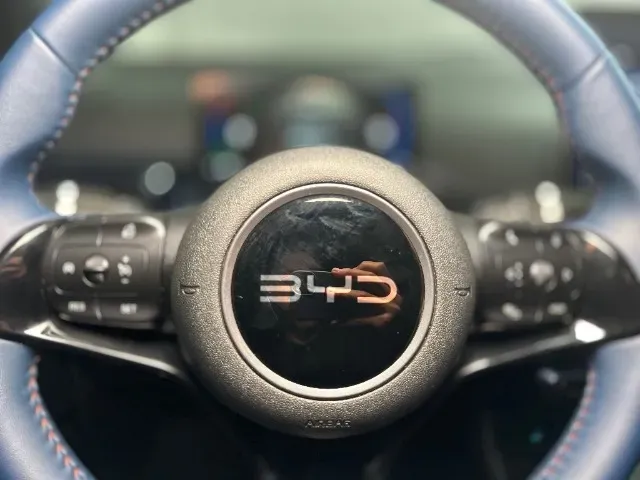 BYD Dolphin Mini - Imagem 11