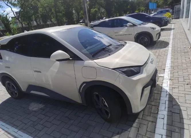 BYD Dolphin Mini - Imagem 2