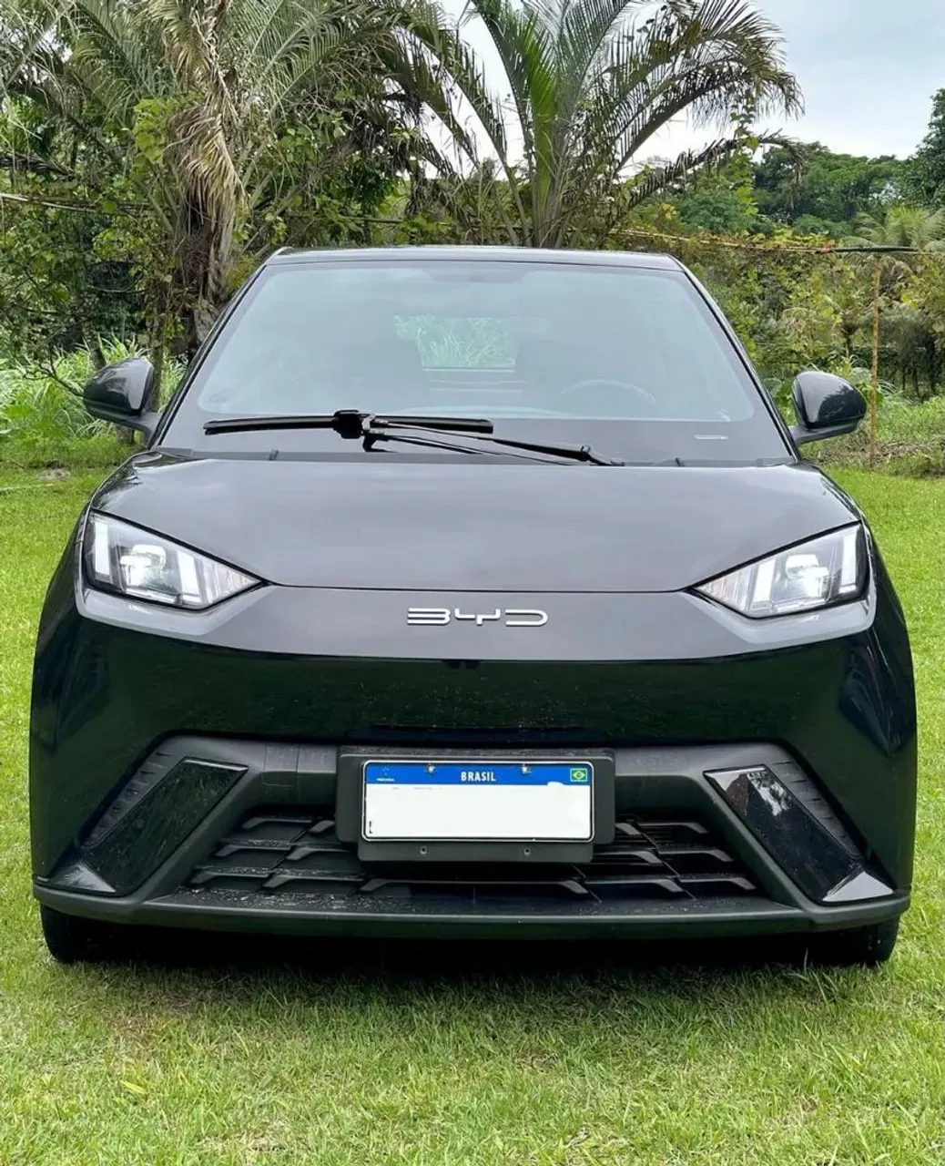 BYD Dolphin Mini - Imagem 2