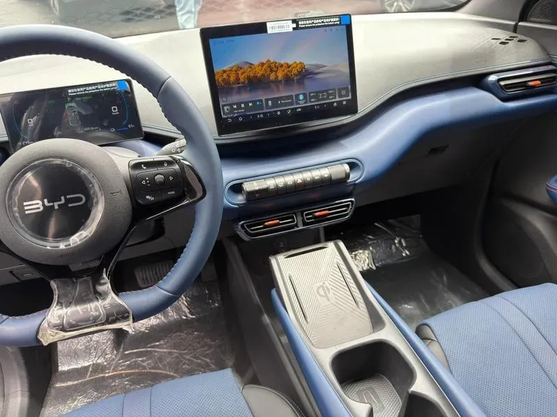 BYD Dolphin Mini - Imagem 11