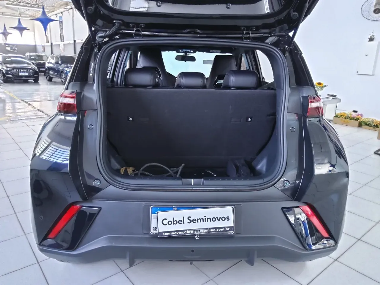 BYD Dolphin - Imagem 14