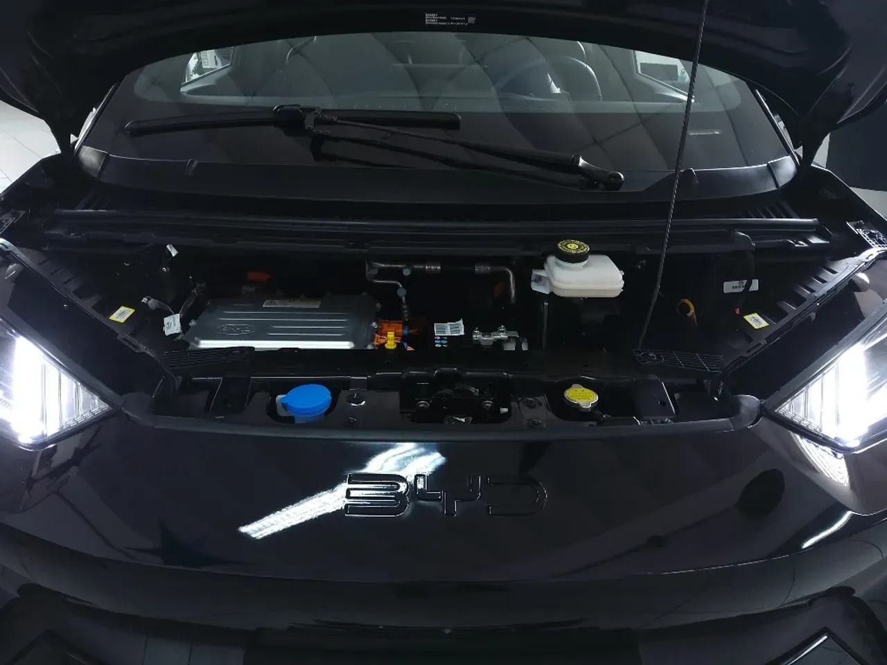 BYD Dolphin - Imagem 15