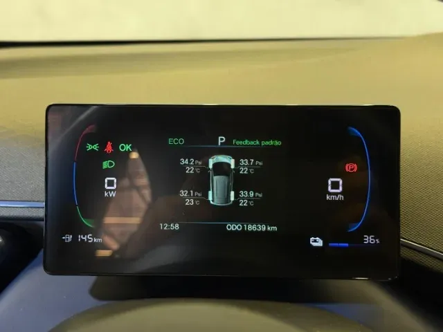 BYD Dolphin Mini - Imagem 10