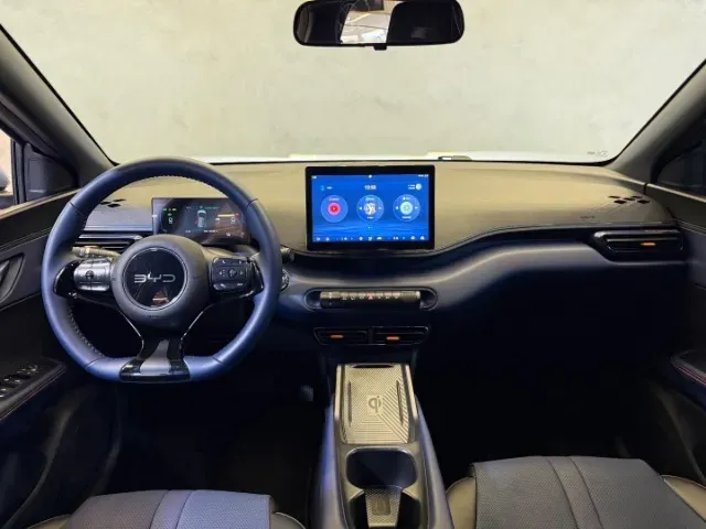 BYD Dolphin Mini - Imagem 16