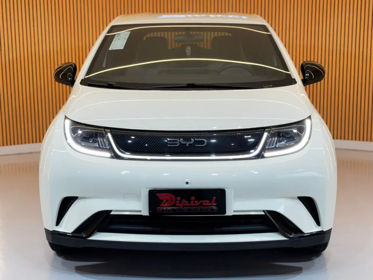 BYD Dolphin - Imagem 2