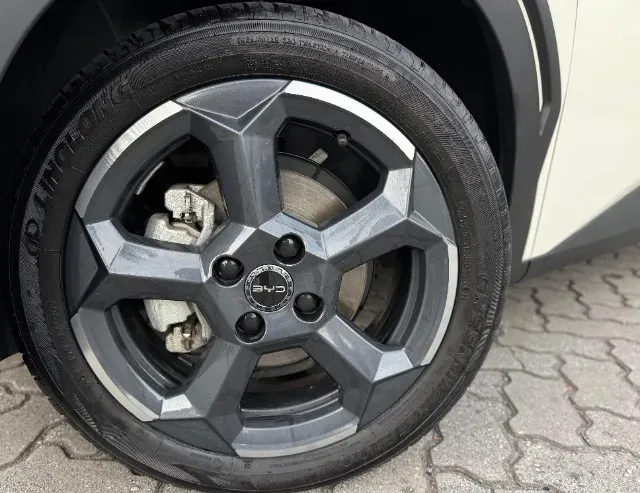BYD Dolphin Mini - Imagem 8