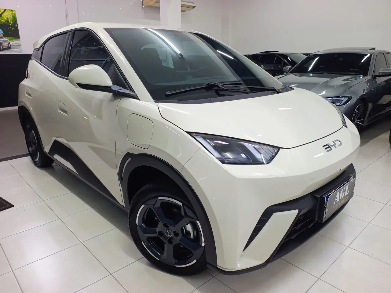 BYD Dolphin Mini - Imagem 2