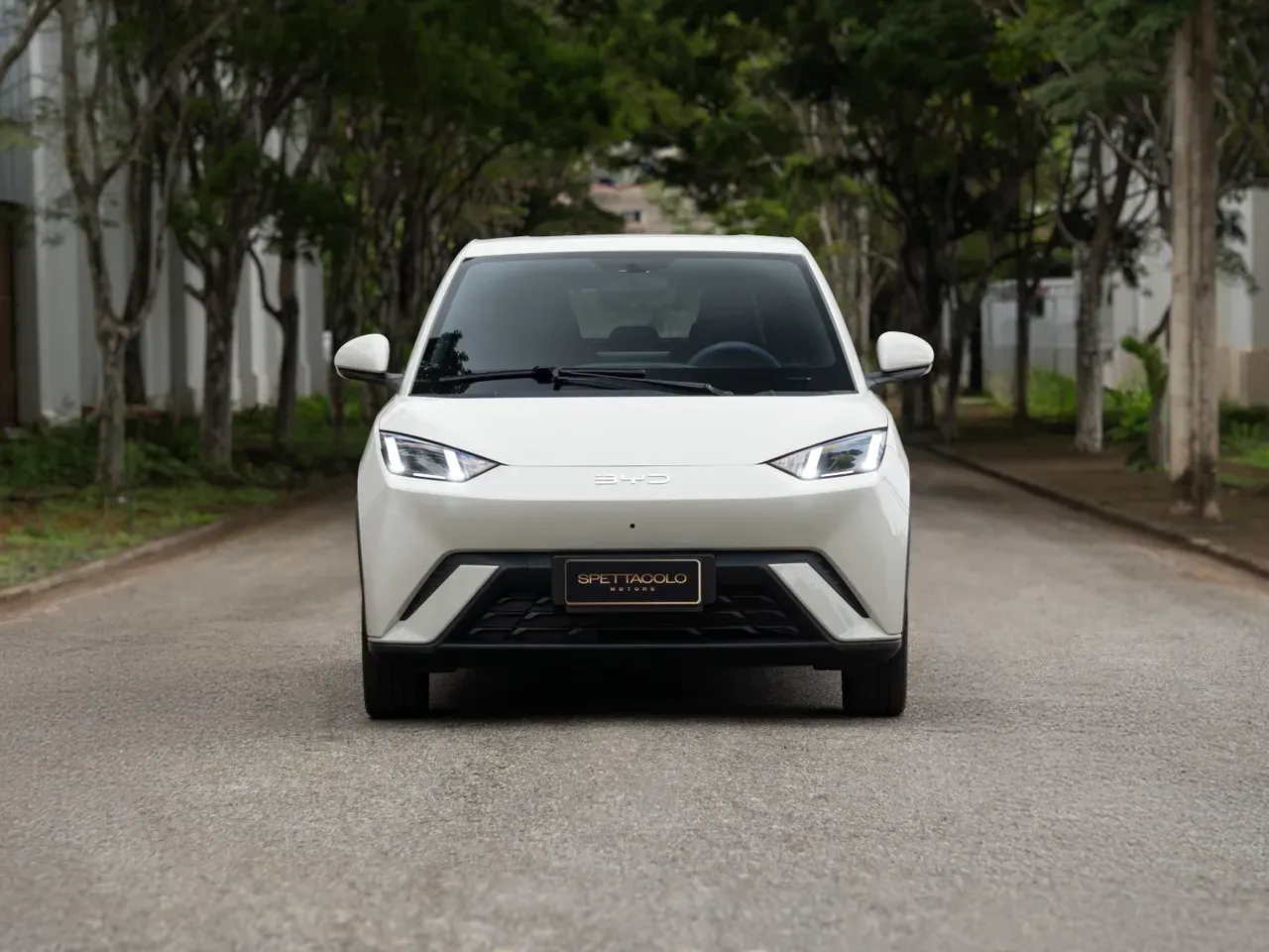 BYD Dolphin Mini - Imagem 2