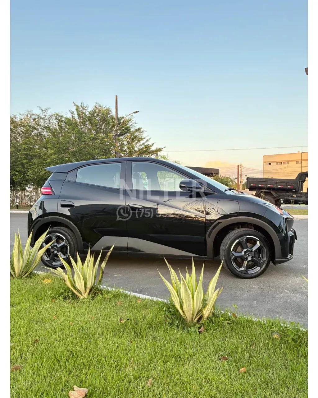 BYD Dolphin Mini - Imagem 4