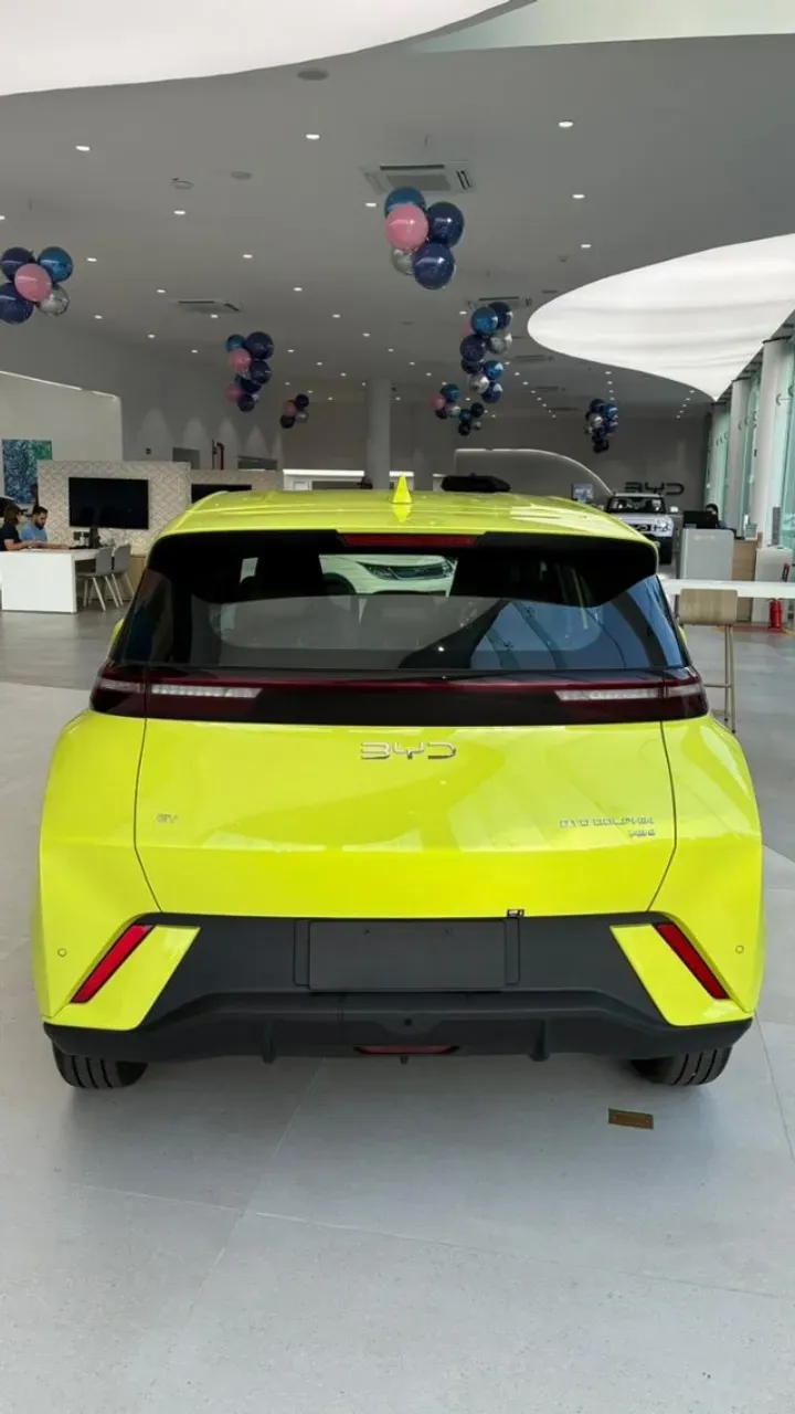 BYD Dolphin Mini - Imagem 14