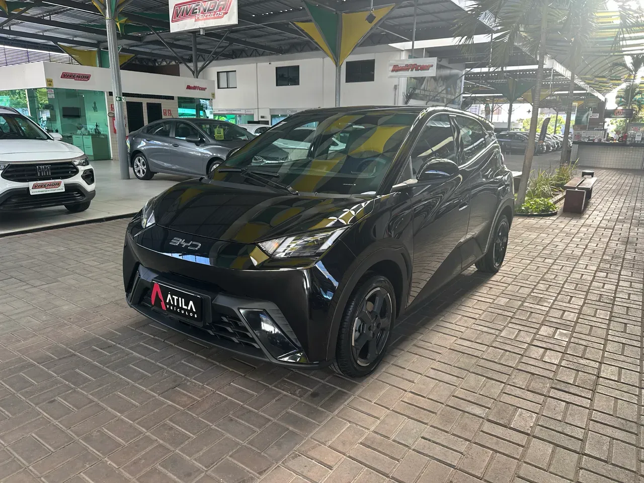 BYD Dolphin Mini - Imagem 2